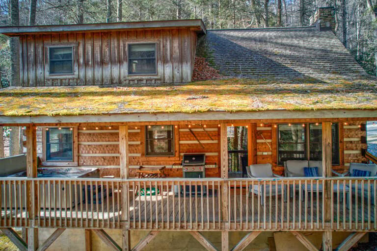 Find Rentals Find Rentals