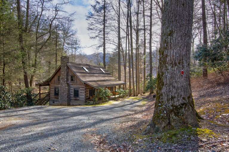 Find Rentals Find Rentals