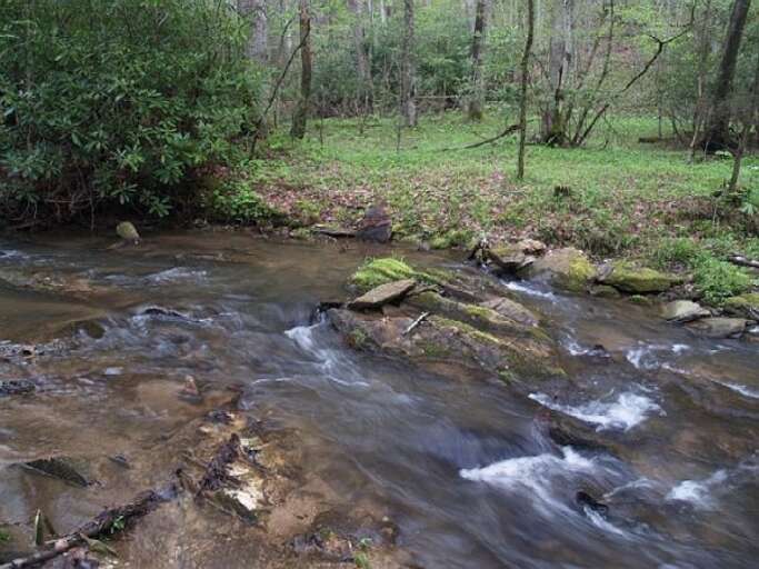 On property creek below the home down the hill