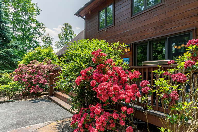 Find Rentals Find Rentals