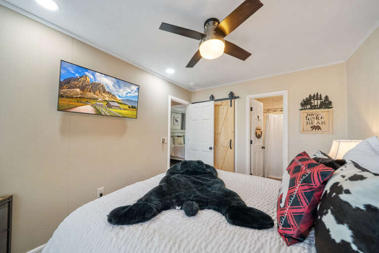Find Rentals