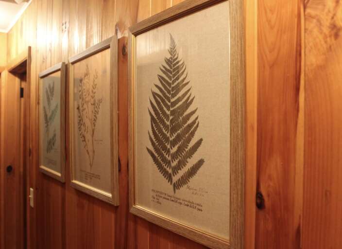 Find Rentals Find Rentals