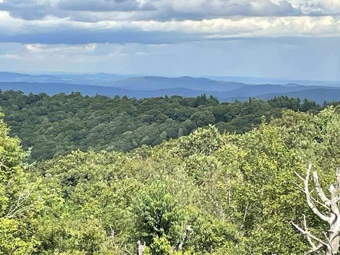 View sitting on the back deck