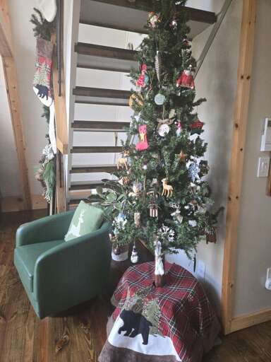 Black Bear Shack & Sauna