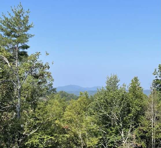 Newly expanded view!