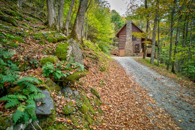 Cabin Clad In Timber Tucked On A Trail Trimmed With Trees And Trodden Leaves