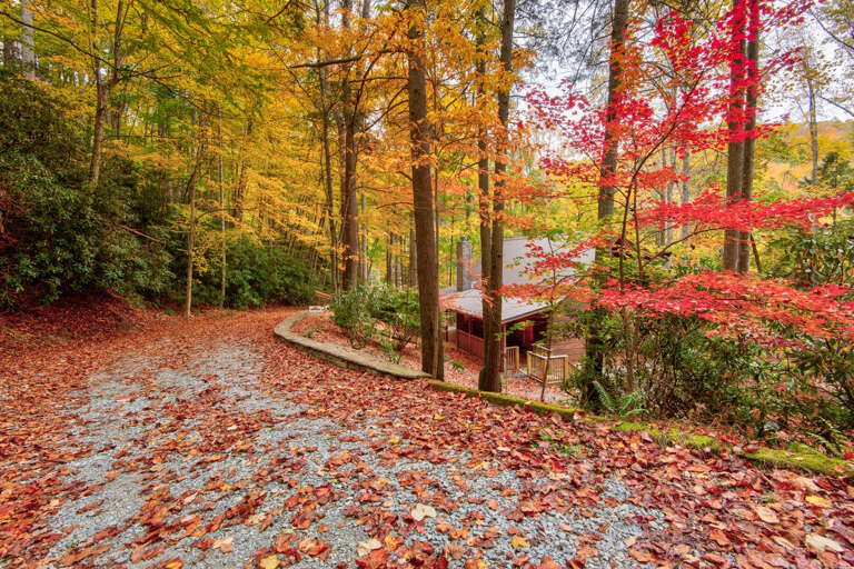 Find Rentals Find Rentals