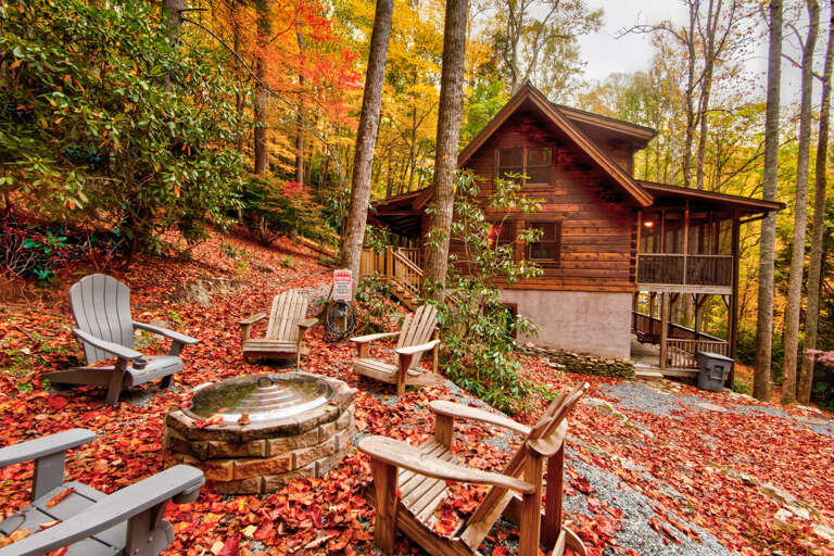 Find Rentals Find Rentals