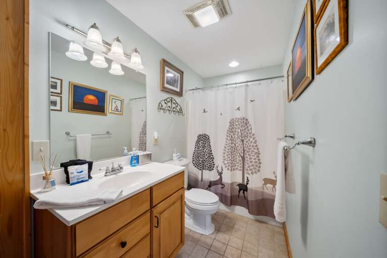 Find Rentals
