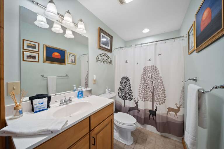 Find Rentals