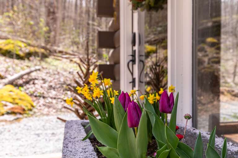 Find Rentals Find Rentals