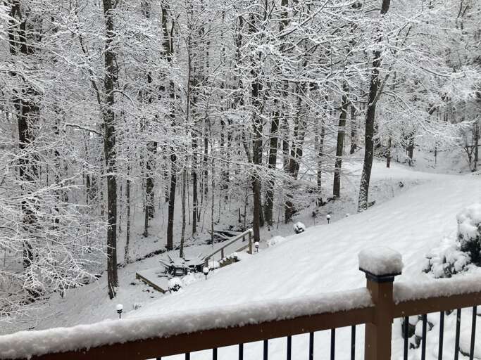 Snow-covered Trees Seen From Balcony