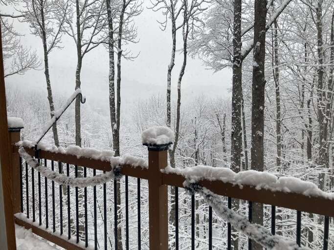 The Mountainbriar Lodge