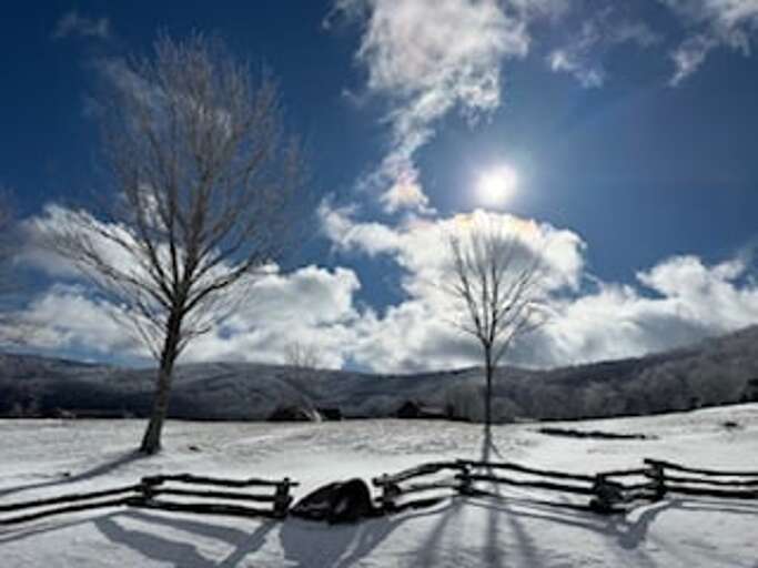 First snow!  Winter 2025