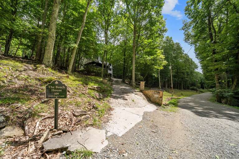 Forest-framing Vacation Rental On A Gravel Pathway, Nestled Amidst Verdant Trees