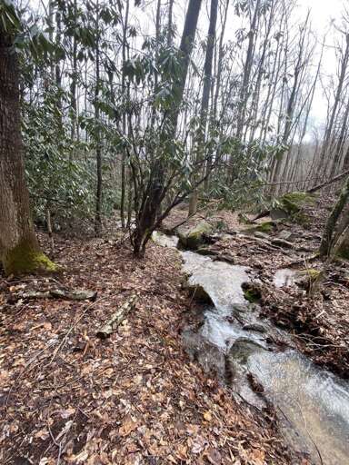 Cascading creek at Boulder Springs Lodge!