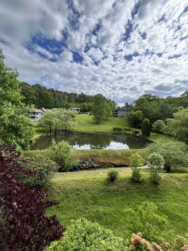 Lush Landscape View From Vacation Rental, Featuring Pond And Verdant Hills Under A Speckled Sky