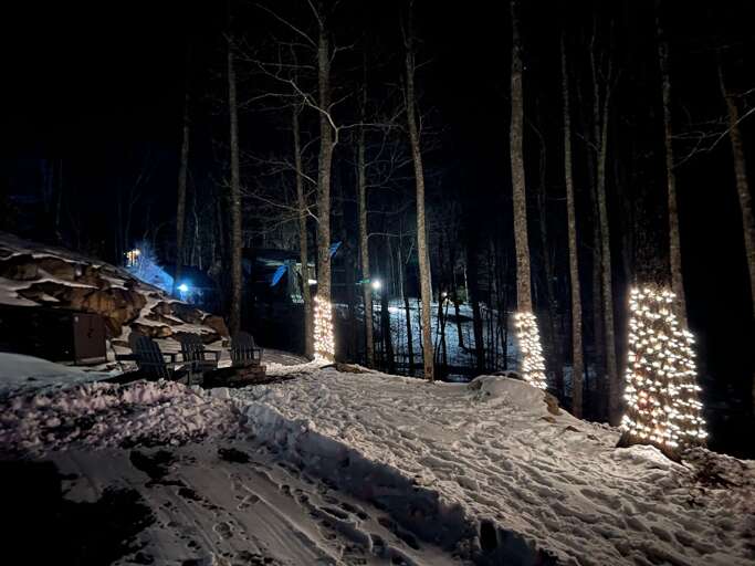 Nighttime Scene At Snowy, Serene Vacation Rental With Illuminated Trees