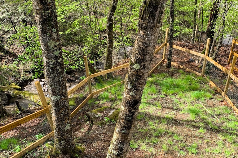Bring the four-legged family members! The Beech Hut offers something incredibly rare on Beech Mountain: A fenced in yard for them to play!