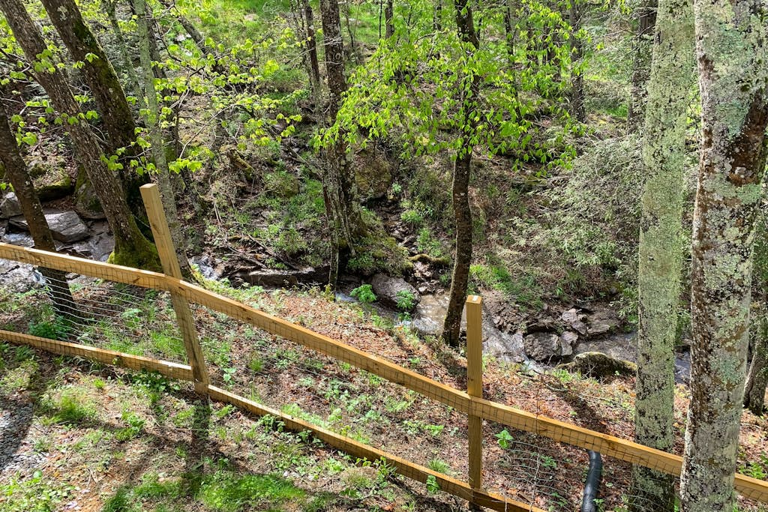 The sounds of the babbling creek will be a great soundtrack to your mountain vacation!
