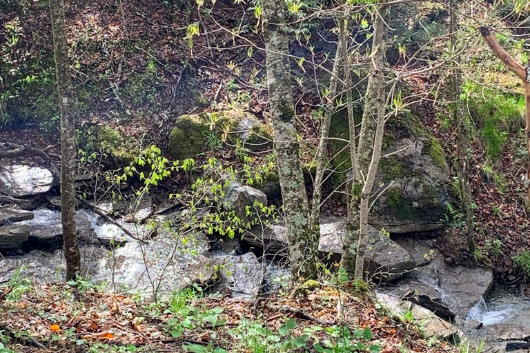The sounds of the babbling creek will be a great soundtrack to your mountain vacation!