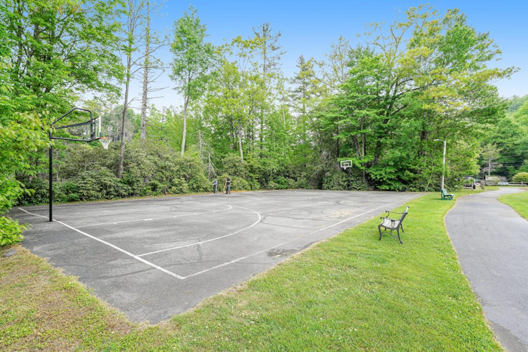 Amenities at Linville Land Harbor include a basketball court, a private beach on a 45-acre lake,