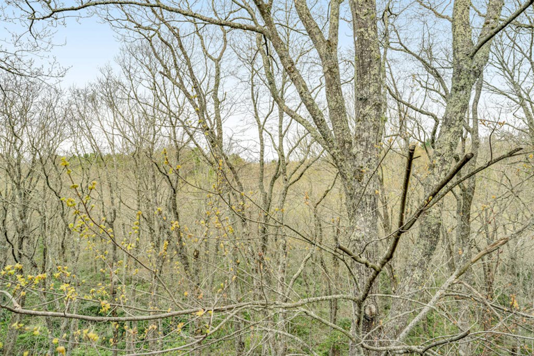 Enjoy the quiet beauty of the surrounding hardwood forest from Mountain Magic.