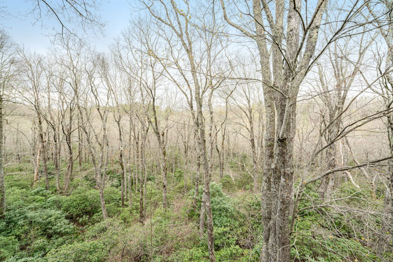 Mountain Magic is surrounded by the serene forests of the North Carolina High Country.