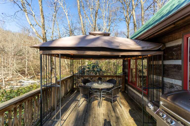 New lighted canopy on back deck