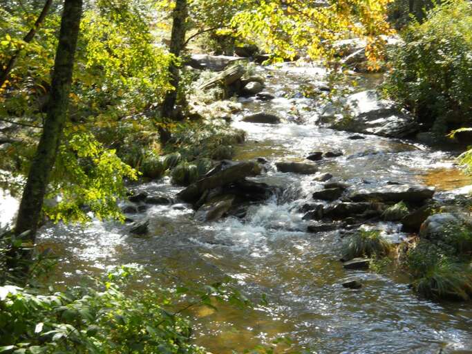 The Watauga River on the property