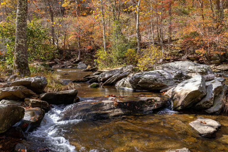 The Watauga River on the property in the fall