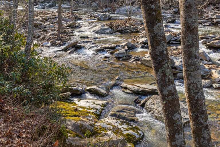 View of the Watauga River from the cabin deck