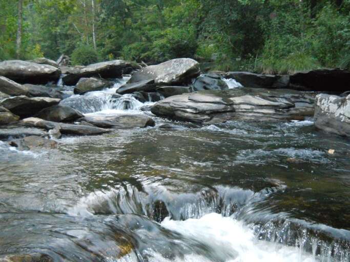 The Watauga River on the property
