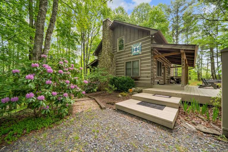 Find Rentals