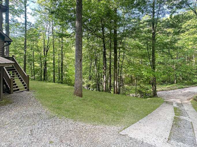 Twin Pines driveway and parking