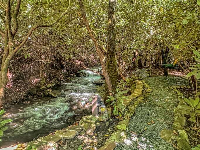 Walk the path along the creek