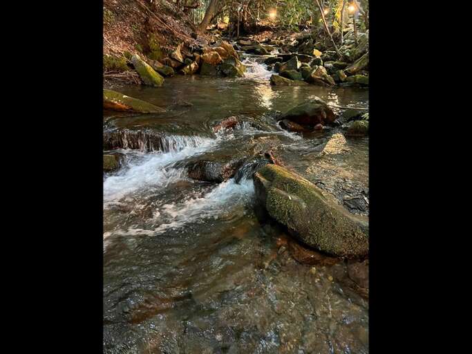 Flip a switch and light up the creek at night