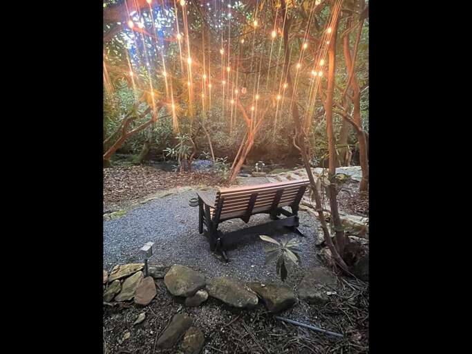 Gliding under a Canopy of Light