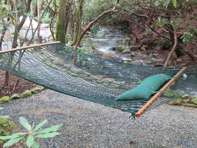 Creek side hammock Creek side hammock
