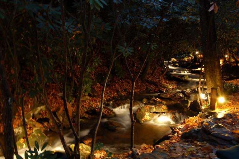 The creek lit up - your Creeksong Disneyworld! The creek lit up - your Creeksong Disneyworld!