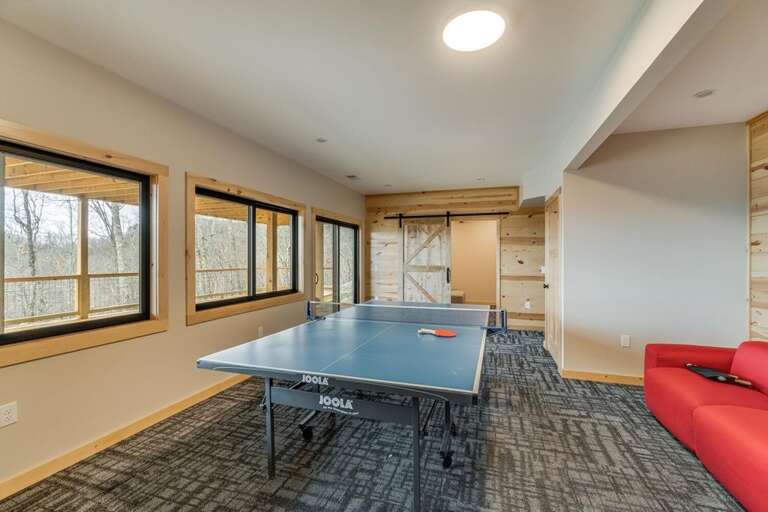Lower level rec room - home theater in distance