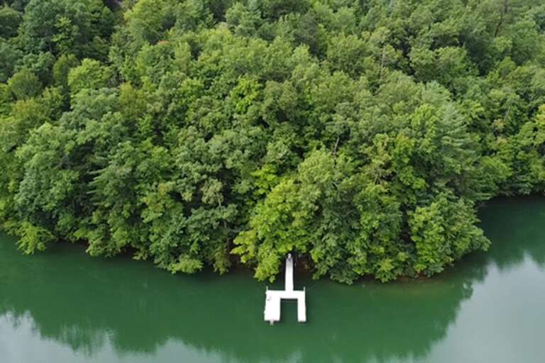 Whispering Pines drone 7 Whispering Pines drone 7