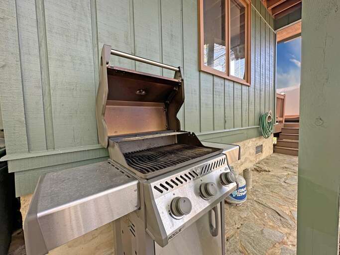 high end grill - spare tank provided