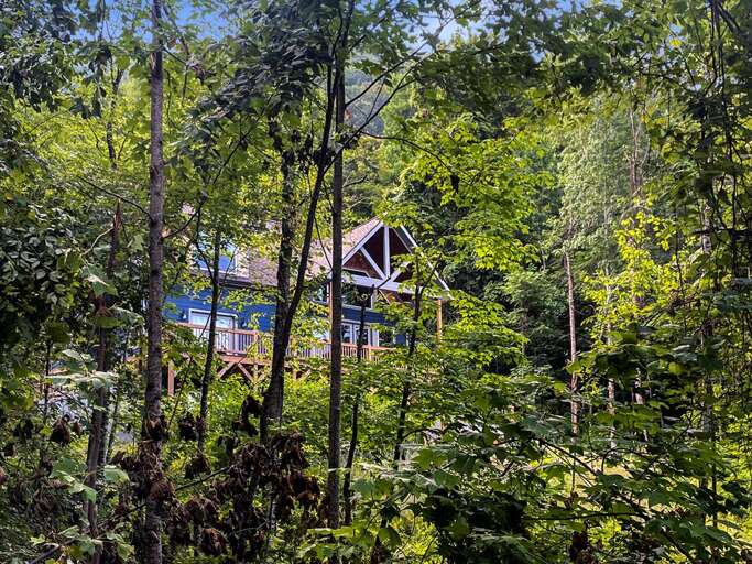 Little Bear - exterior 1