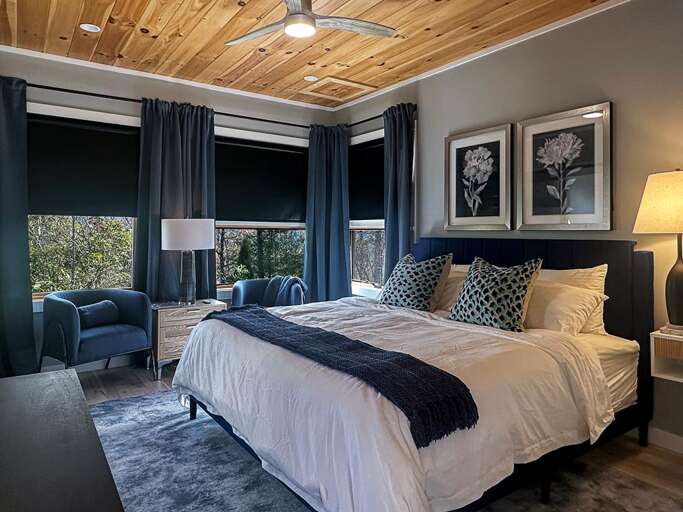 Dragonfly - main level king 1 Dragonfly - main level king 1