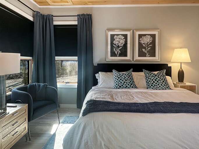 Dragonfly - main level king 4 Dragonfly - main level king 4