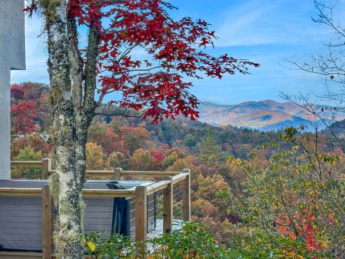 Dragonfly - hot tub view Dragonfly - hot tub view