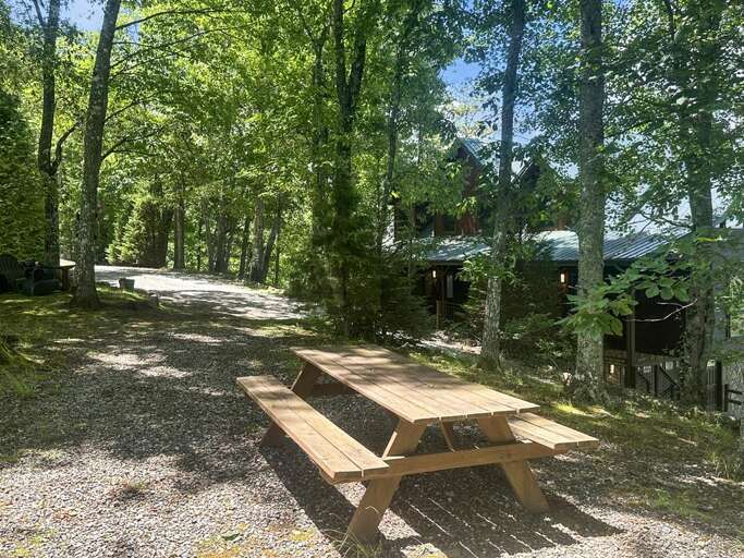 Endless Views - picnic table in the woods