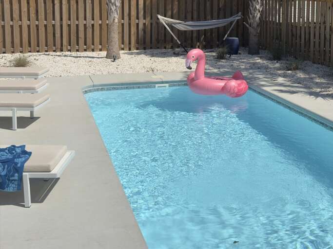 Flo the Flamingo 
4.17.26 - O