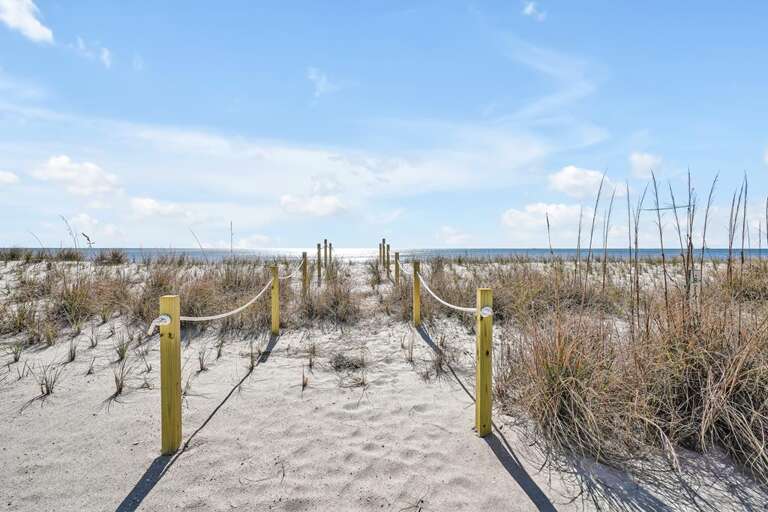 Savannah 50 CG 2.14.24